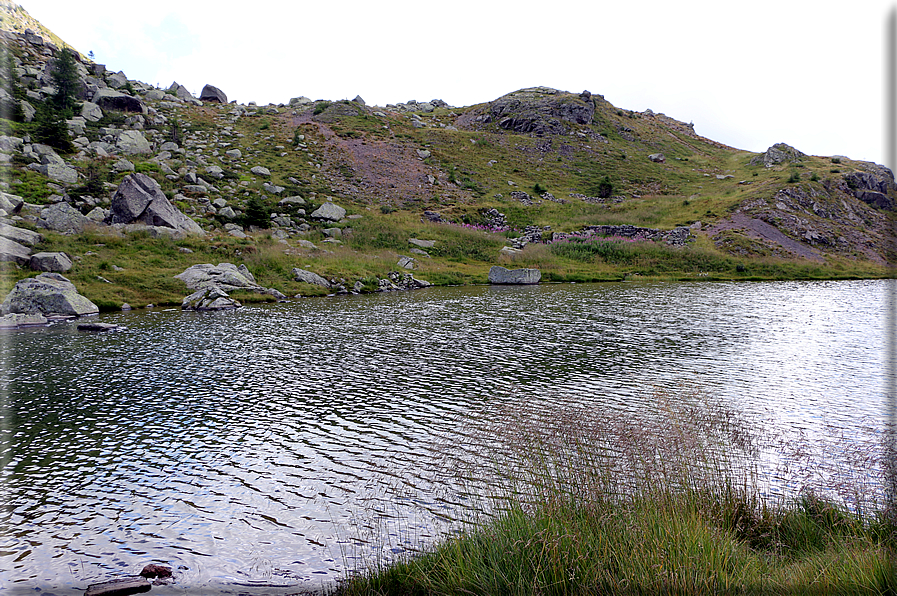 foto Lago di Montalon